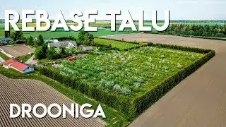 Rebase talu linnulennult