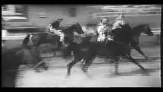1959 National Morgan Horse Show at Northampton, MA