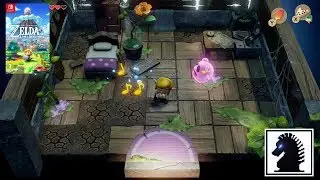 NS The Legend of Zelda: Link's Awakening - #9: The Pink Ghost, The Rapids & Martha's Bay