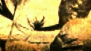Laduma