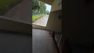 Lizard hunter 🔥