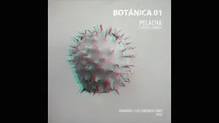 Pelacha - Las Contradicciones [RS05]