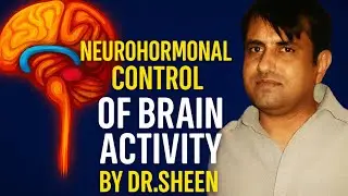 Neurohormonal Control of Brain Activity Quiz base video