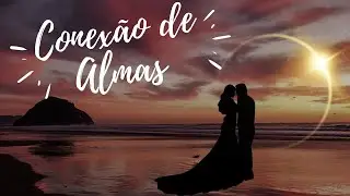 Almas G&ecirc;meas Existem? -  Descubra como Reconhecer? 💖
