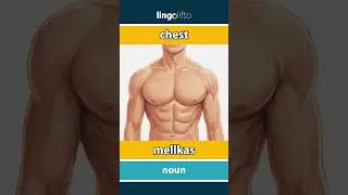🇬🇧🇭🇺 chest - mellkas : learn English : tanuljunk angolul : vocabulary builder
