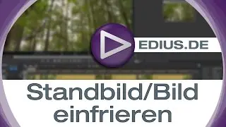EDIUS Podcast - Standbild/Bild einfrieren