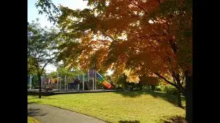 The History of New Richmond