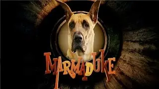 Sessão da Tarde - Marmaduke (04/01/2016)