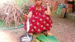 അമ്മ തന്ന മാലാൻ മീൻ തേങ്ങ വറുത്തരച്ചു കറിവെച്ചു