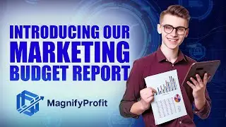Marketing budget report analysis with Magnify profit