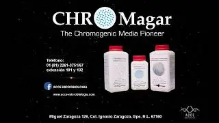 chromagar microlobilogy  diagnostic products