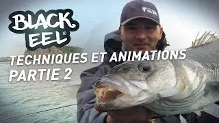 Fiiish - BLACK EEL - Techniques et animations partie 2