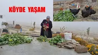 YİNE NELER ALDIK EVİMİZİN İHTİYAÇLARI HATİCE HANIM NELER YAPIYOR