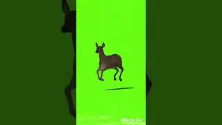 green screen video|| animal cartoon|| deer|| jungle #greenscreen