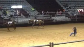 Arkansas State Horse Show 2014, Hunter Under Saddle, watching Colleen Sobanski on Angel