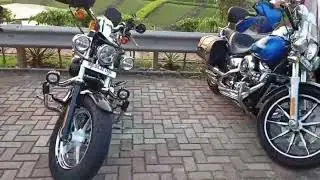 ROAD KING: HARLEY 1250CC! 👑 #Shorts #VibeNot just a Bike, it&rsquo;s an Emotion! ❤️