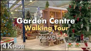 Christmas walking tour ENGLAND | Cadbury Garden centre, Bristol