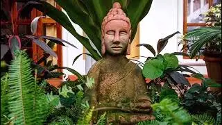 Sayulita Yoga and Wellness Retreat