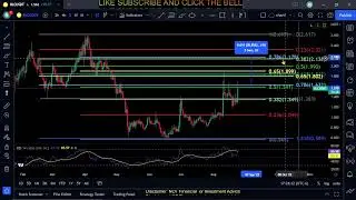 RLC-iExec Token Price Prediction-Daily Analysis 2022 Chart