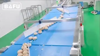 cake, bread, cookies, biscuit automatic packaging machine, flow-pack machine, flow wrapper,flow-pack