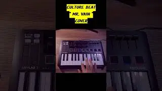Culture Beat '' Mr  Vain '' Loop Cover #shorts #90smusic #coversong