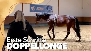 Doppellonge - Wie und warum wir damit beginnen!