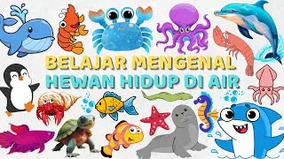 Tebak Tebakan Nama Hewan Hidup di Air Bahasa Indonesia & Bahasa Inggris Learn Water Animals