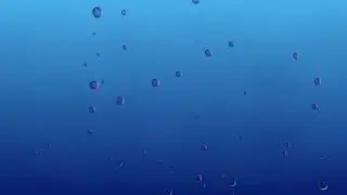 Rising Water | Filling Screen | Sinking into Water | ROYALTY FREE | Animated via After Effect