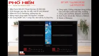 Bếp từ Fermi NG-001 plusd