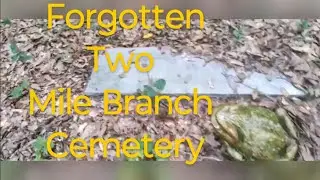 How to Find A Forgotten Graveyard in The Cape Fear Region: Two Mile Branch Cemetery 