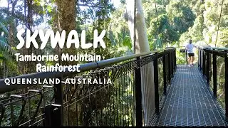 4K - SKYWALK at Tamborine Mountain Rainforest - Is there anything like it in the world????