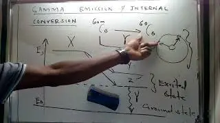 Describing Gamma Emission and Internal Conversion: A Comparative Perspective