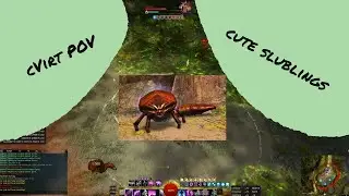 [cA] Calamity - Slubling Raid Competition | Condi Virtuoso PoV