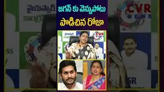 జగన్ కు వెన్నుపోటు పొడిచిన రోజా !😱😱| RK Roja Sensational Comments On Jagan | CVR NEWS