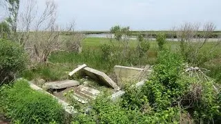 Epic marsh adventure in Yarmouthport