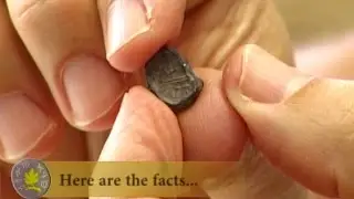 Join Us in Bringing to Light the Finds From the Temple Mount