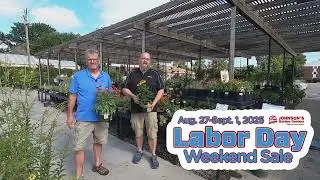 Johnson's Labor Day Weekend Sale