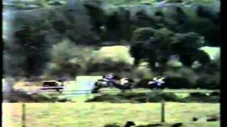 Golden Cygnet - 1978 Fournoughts Hurdle Punchestown