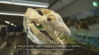 🧬🦖 Dinosaur Cloning From Amber Now Possible
