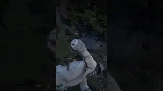 Red Dead Online Damned Wolves Short