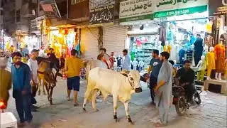 Eid Ul Adha In Jhelum Pakistan | Muslim Festival 2025