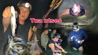 Saib peb Tua ntses keem ntxwv dej naj nyeej lom zem heev