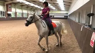 Jane Emery Dressage to Music