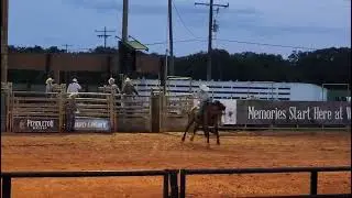Rodeo en los ranchos 
