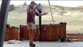 Walter Peak Farm Sheep Dog and Shearing demonstration, Queenstown, New Zealand South