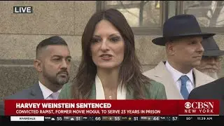 Weinstein Attorneys React To Sentencing