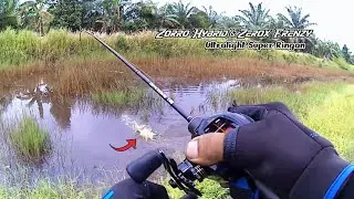 ULTRALIGHT FISHING‼️ JORAN ZORRO HYBRID & REEL ZEROX FRENZY // SENSASI TERASA NARIK IKAN GABUS BABON