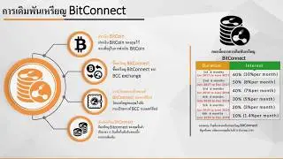 โอนเหรียญ BCC จาก bitconnect co เข้า Bitconnect QT