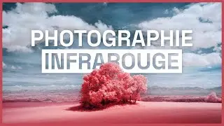 Infrared Photography for Beginners: My Story, Gear & First Steps