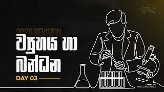 🔴Zoom 3000+ | 2026 Revision - ව්‍යුහය හා බන්ධන Day 3 | Amila Dasanayake